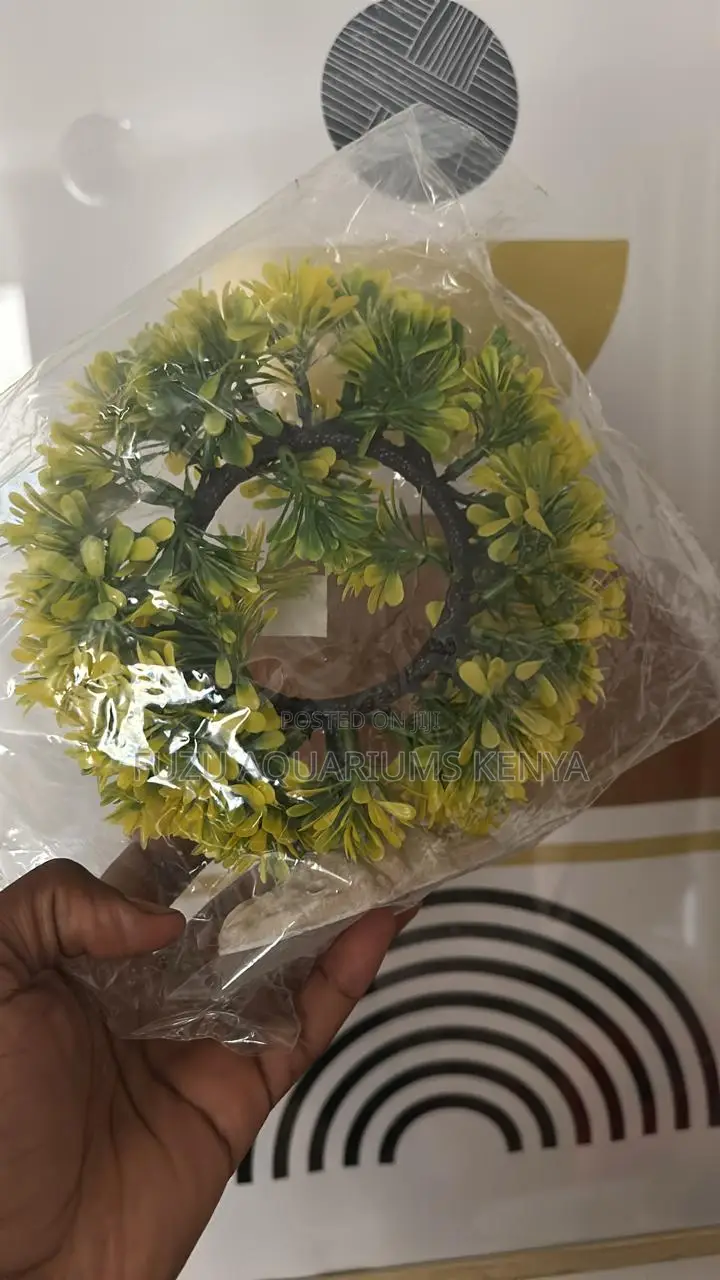 Round Aquarium Plant for Beauty