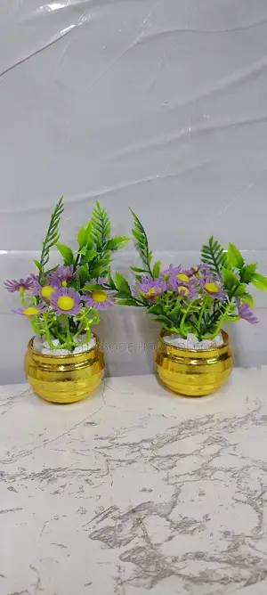 Potted Flowers In A Gold Succulent