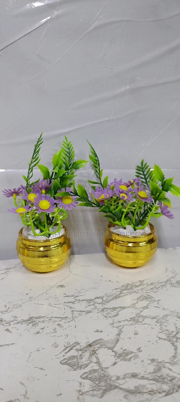 Potted Flowers In A Gold Succulent