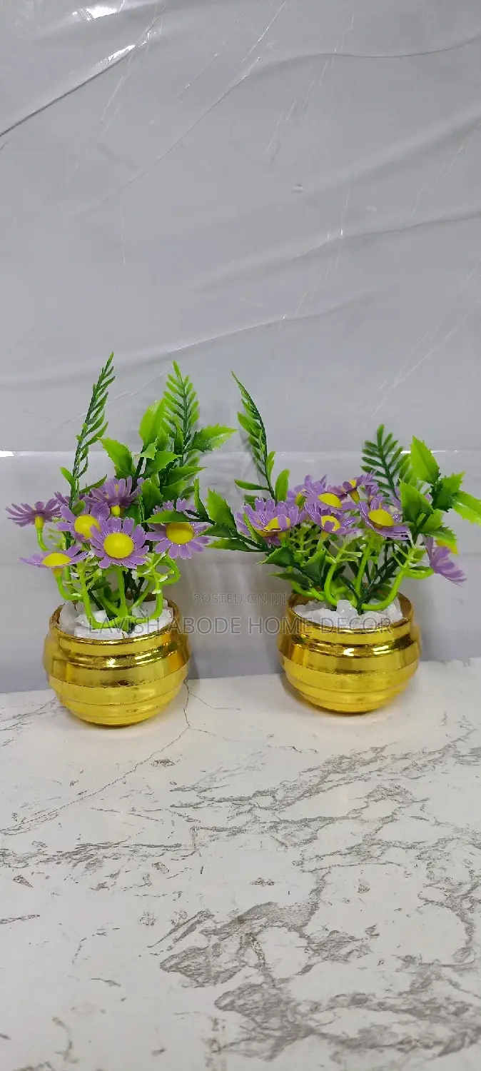 Potted Flowers In A Gold Succulent