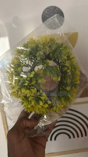 Unique Round Aquarium Plant
