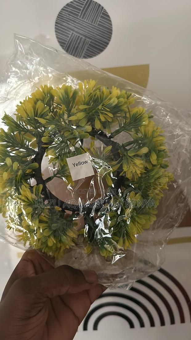 Yellow Round Wave-Like Plant