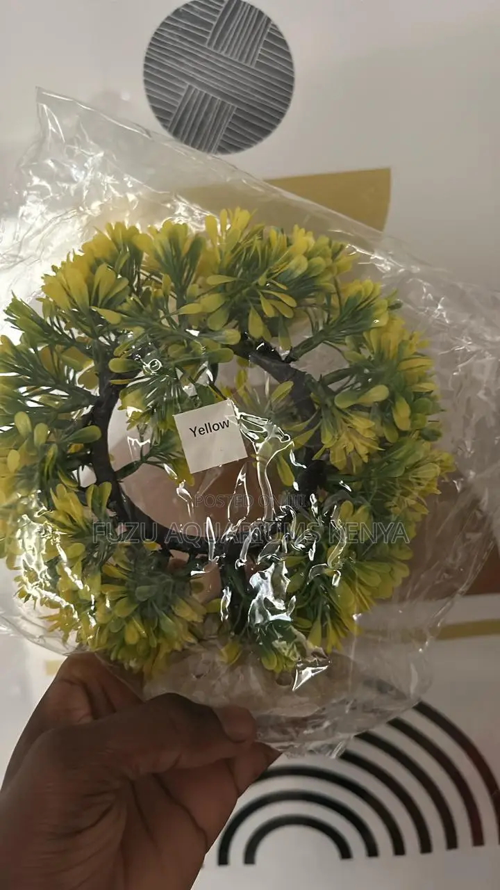 Yellow Round Wave-Like Plant