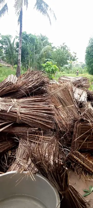 Long Lasting Thatching