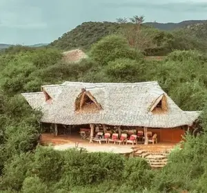 Long Lasting Thatching