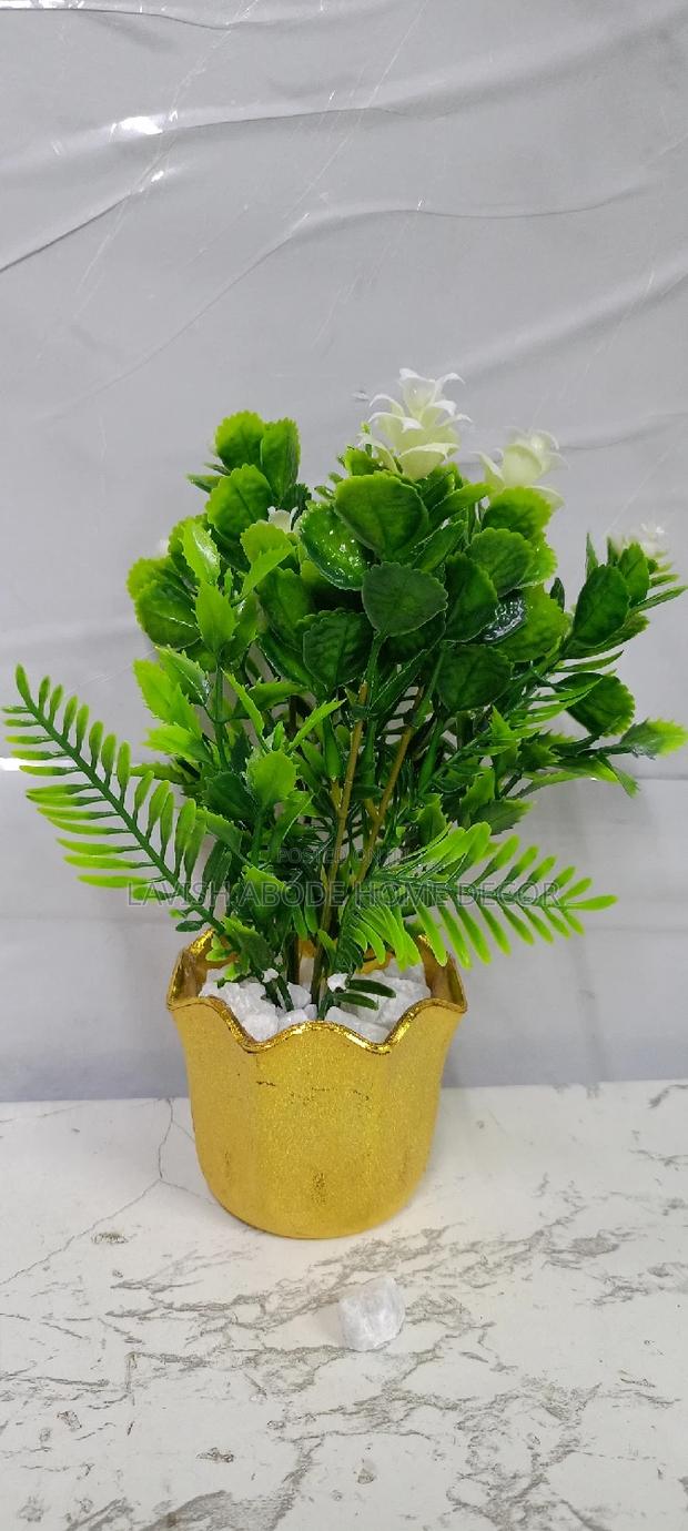 Potted Flowers in a Gold Succulent