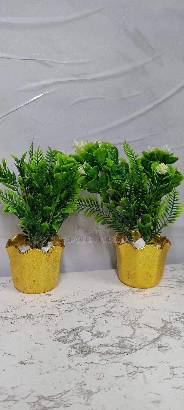 Potted Flowers in a Gold Succulent - thumbnail 3