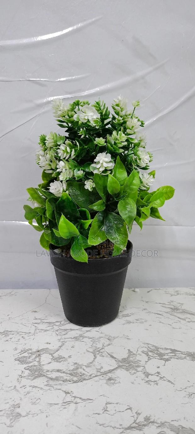 Black Potted Flower(White)