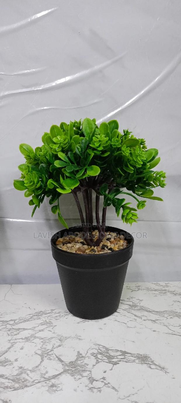 Black Potted Flower(Green)