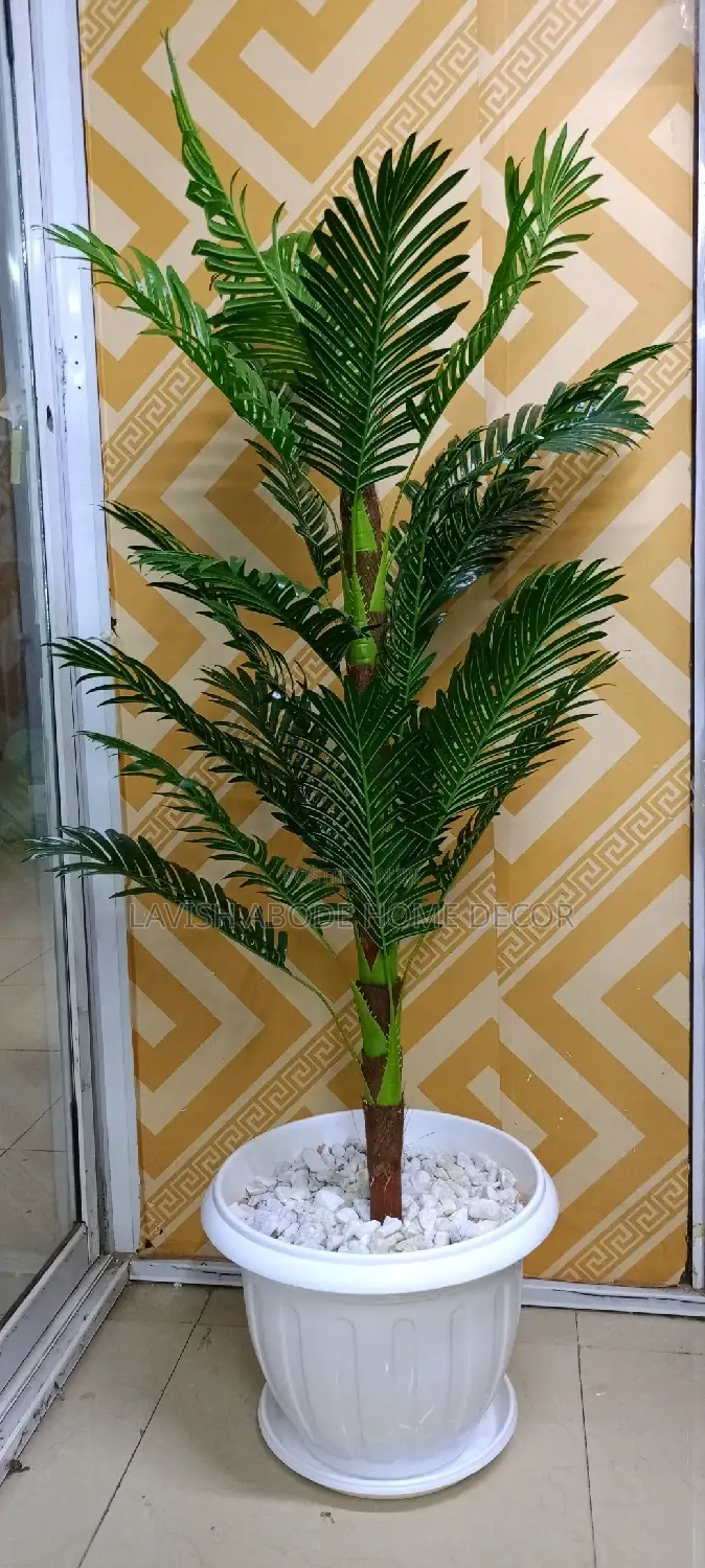 Palm Plant With Ripped Vase