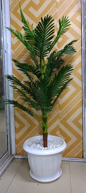 Palm Plant With Ripped Vase