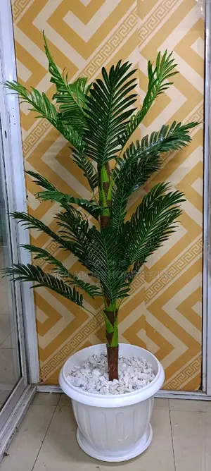 Palm Plant With Ripped Vase