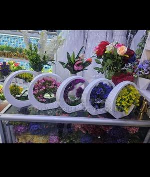 Decorative Bonsai Potted Plants 1500 KSH - main view