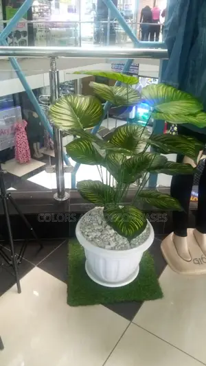 Big Vase and Plant Offer Price