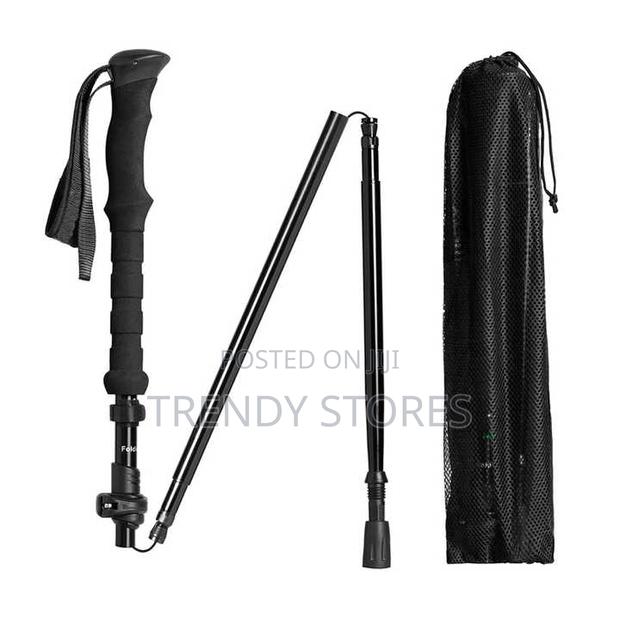 Foldable Walking Stick - main view