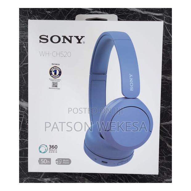 Wh-Ch520 Wireless Headphones With Microphone - main view