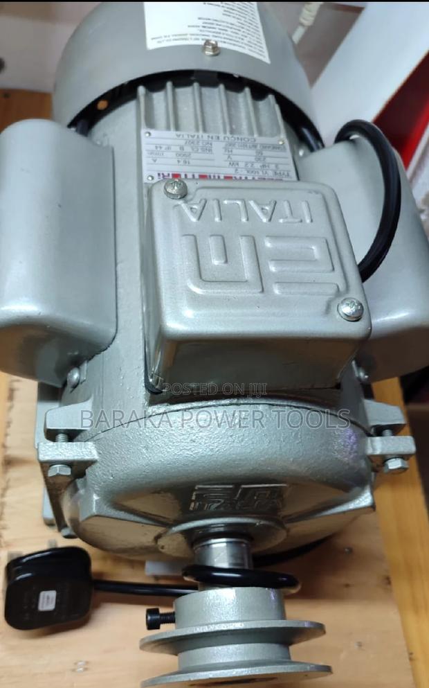 Electric Motor (Italia Make)