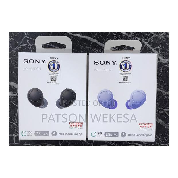 Sony Wf-C700n - main view