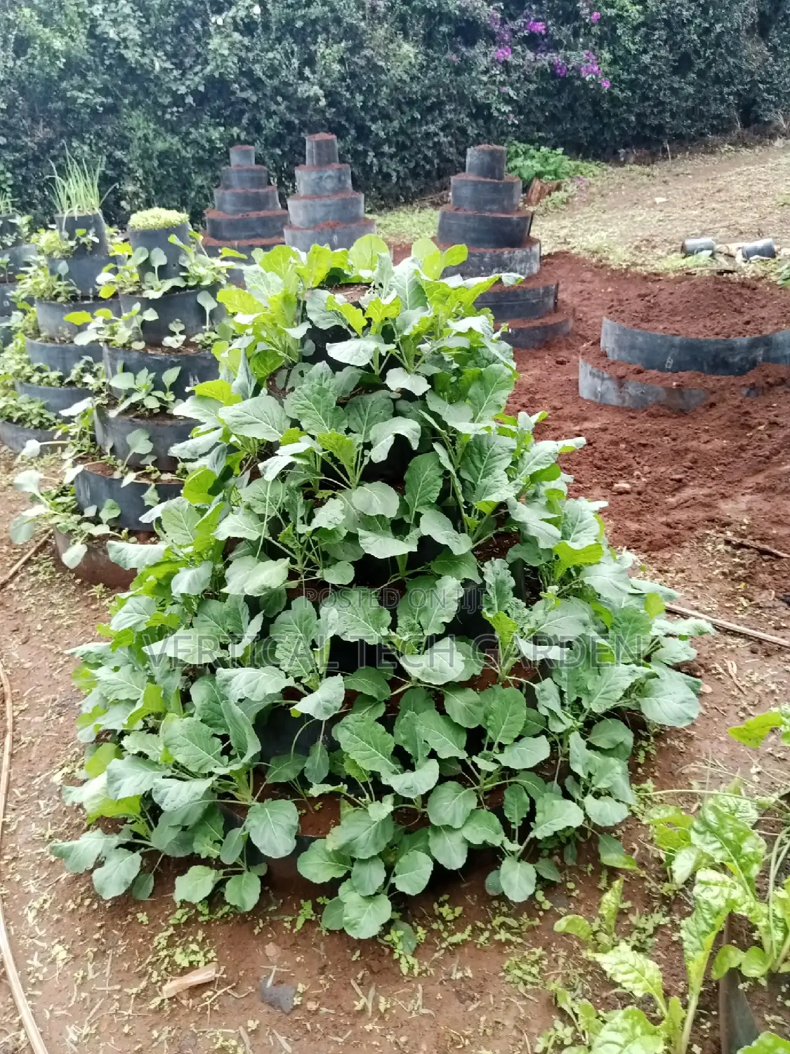 Multistorey Garden