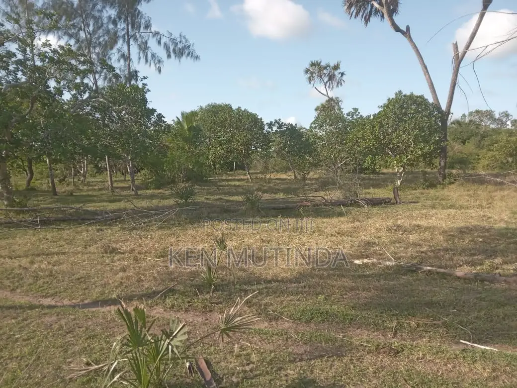 Prime Land In Witu For Sale