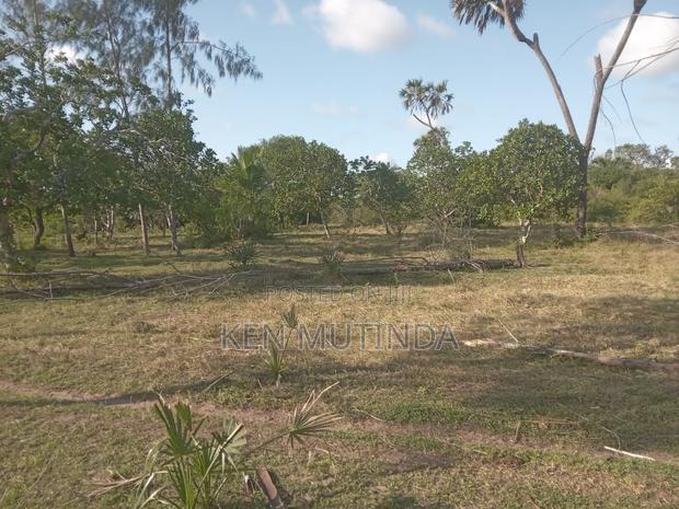 Prime Land In Witu For Sale