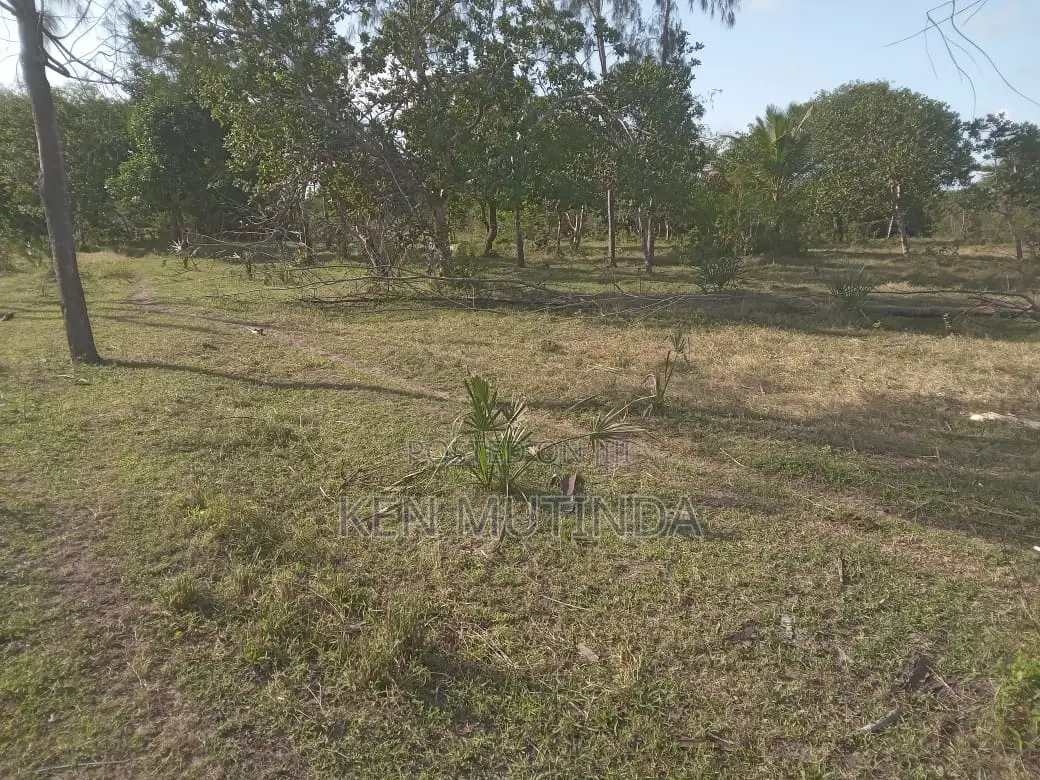 Prime Land In Witu For Sale