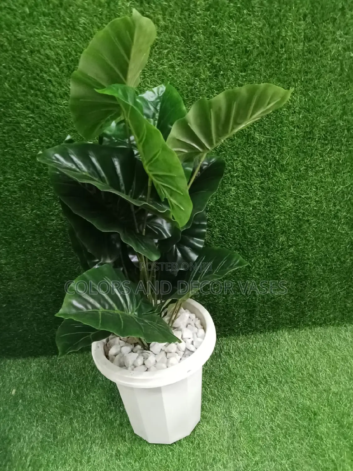 Green Plant With Plastic Vase Plus Stones