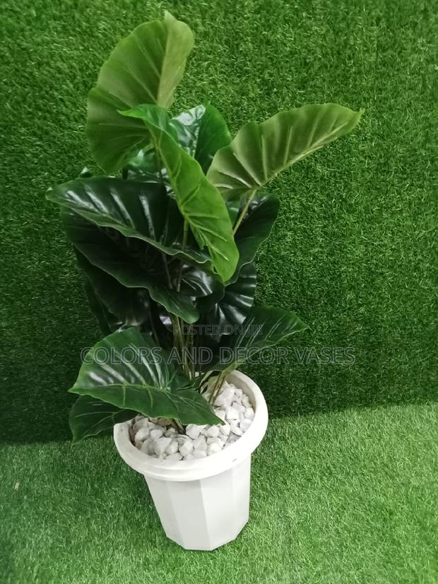 Green Plant With Plastic Vase Plus Stones - main view