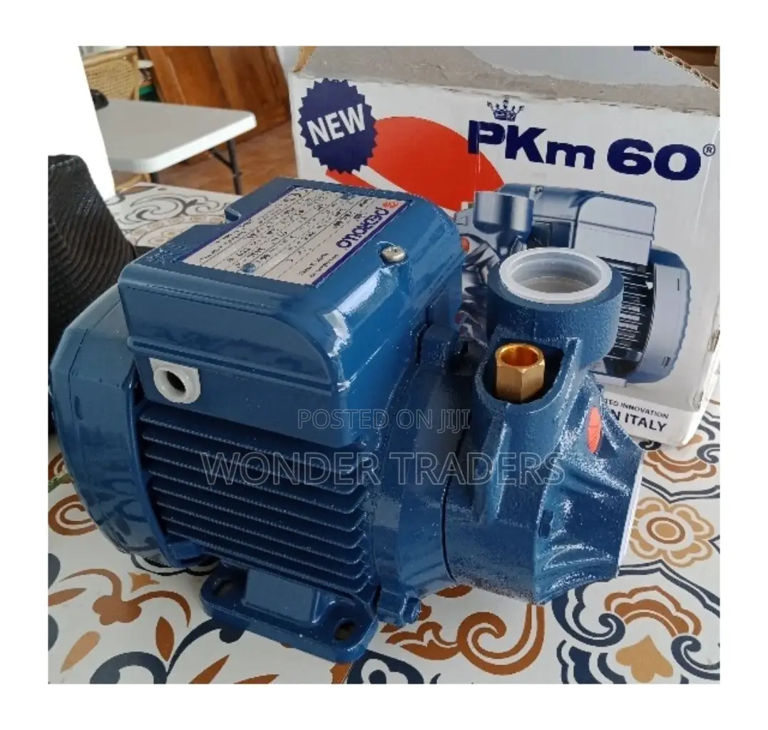 Pedroll Water Pump,0.5hp,40m Head