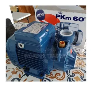 Pedroll Water Pump,0.5hp,40m Head
