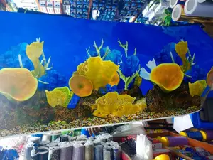 Aquarium Coral Back Ground