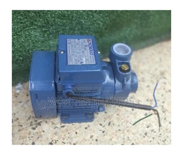 Pedroll,0.5hp Water Pump. - main view