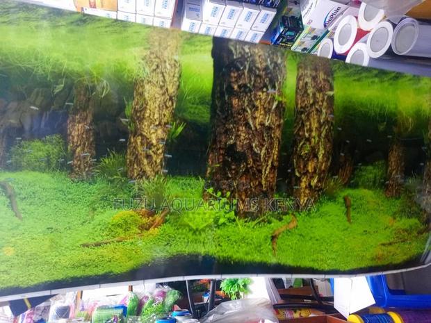 Aquarium Background - Nature - main view