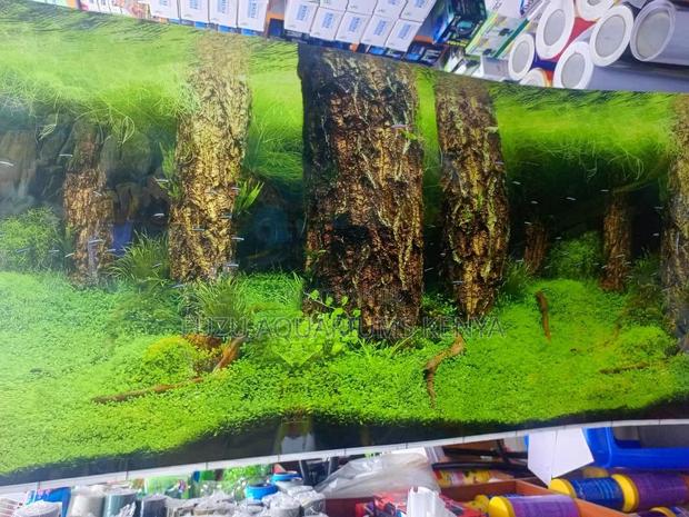 Aquarium Background - Nature - thumbnail 2