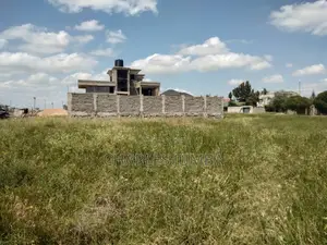 Prime Plot in Utumishi Sacco