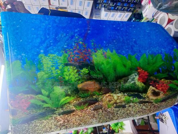 Background 2ft Height for Aquarium - main view