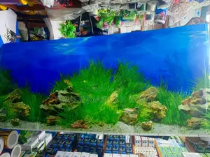 Aquarium Background - Grass-Like