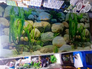 Aquarium Background 2ft Height -Rocky