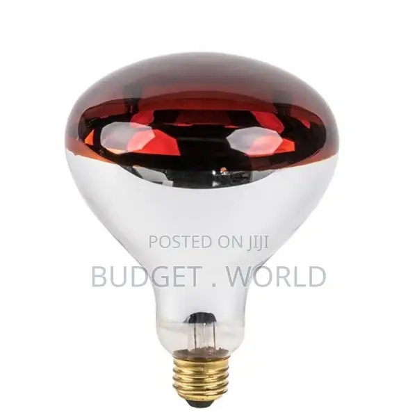 Poultry,Chicken Bulb 250 Watts