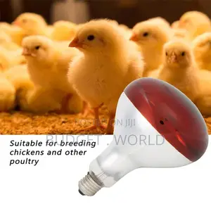 New Poultry,Chicken Bulb 250 Watts