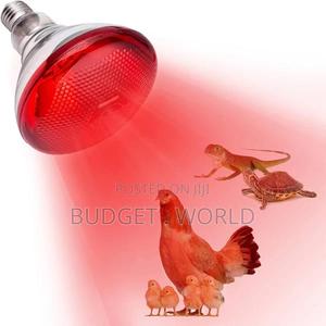 Chicks Heat Lamp Bulb, 250W Heat Lamp Bulb Glass Durable - thumbnail 2