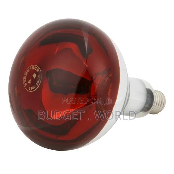 New- Chicks Heat Lamp Bulb, 250W Heat Lamp Bulb