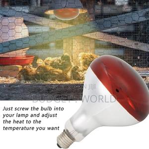 Affordable- Poultry,Chicken Bulb 250 Watts - thumbnail 2