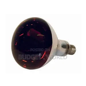250 Watt Red Heat Lamp Bulbs Restocked-