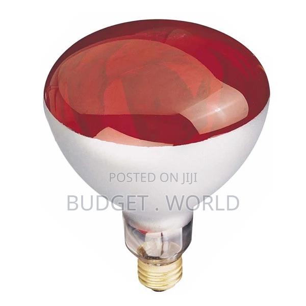 250W Heat Lamp Bulb Glass Durable for Chicken for Poultry