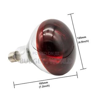 Chicks Heat Lamp Bulb, 250W Heat Lamp. - main view
