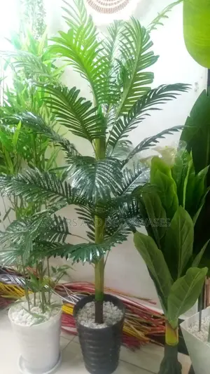 Palm Tree 1.5m With Vase Plus Pebble Stones