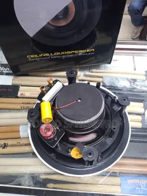 4 Inch Ceiling Loudspeaker