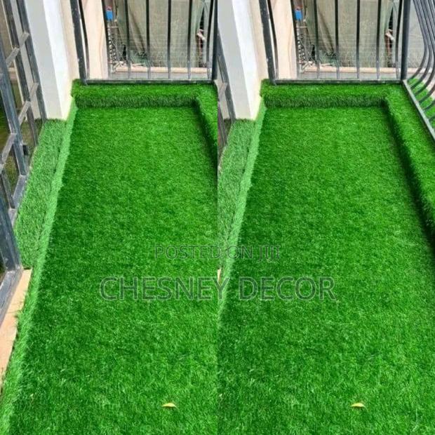 Turf Grass Turf Grass Turf Grass Turf Grass Turf Grass