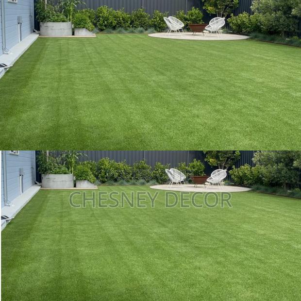 Grass Carpet Grass Carpet Grass Carpet Grass Carpet Grass